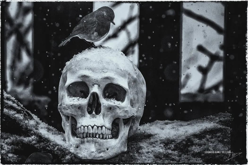 El sueño de la razón 22