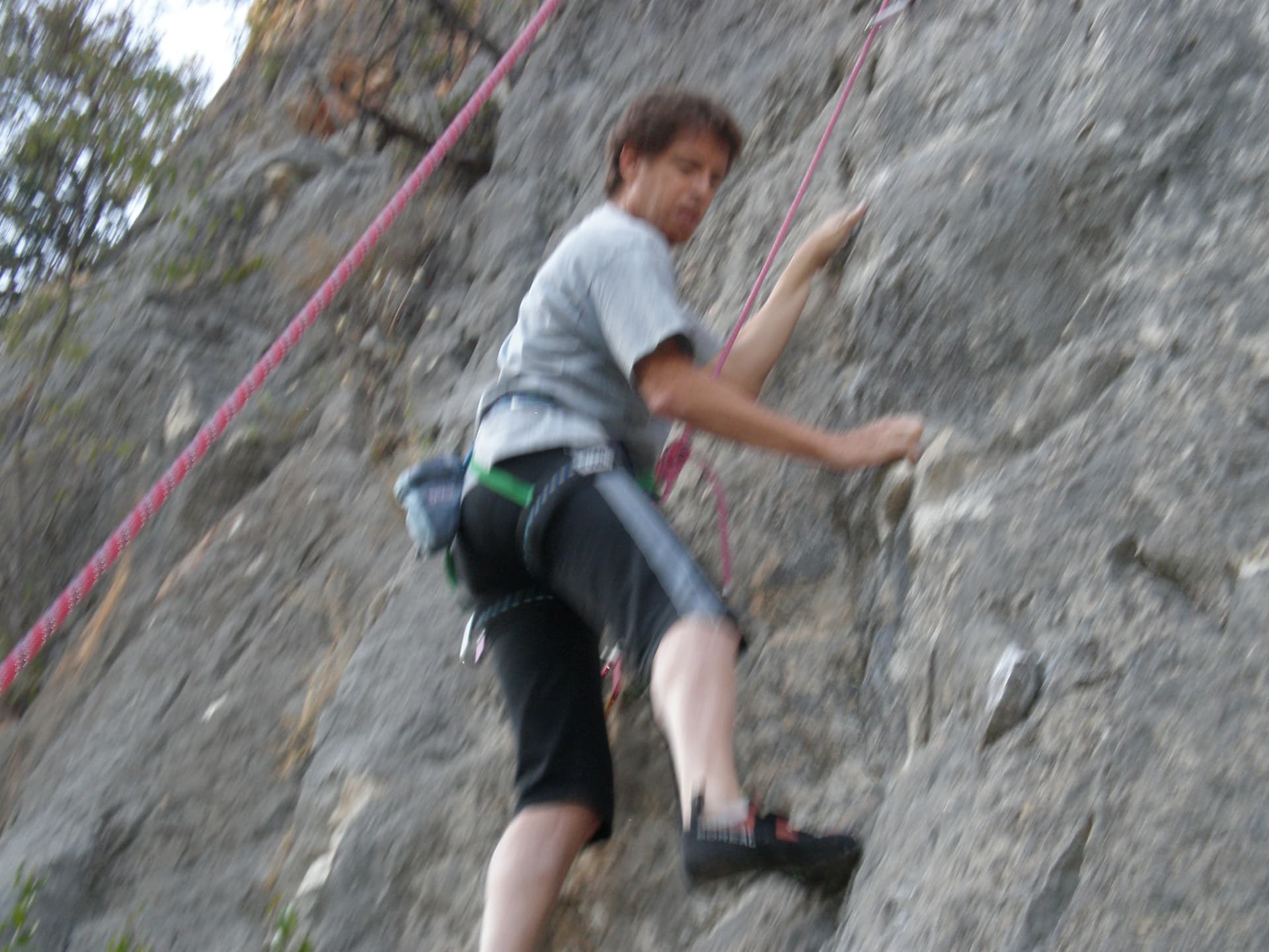 Homo Viator 256